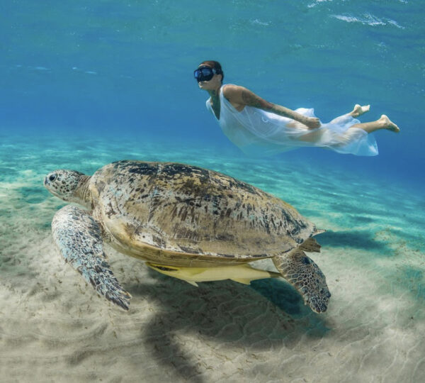 Бухта Абу Дабаб кораллы и морские черепахи
