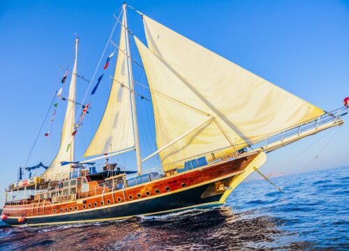 VIP Пиратская яхта «Sina Dream»