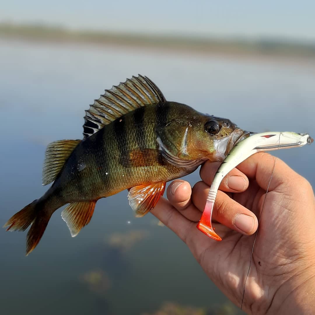 Морская рыбалка в Кемере