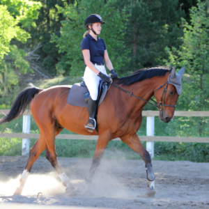 Конные прогулки на фоне моря в Анталии