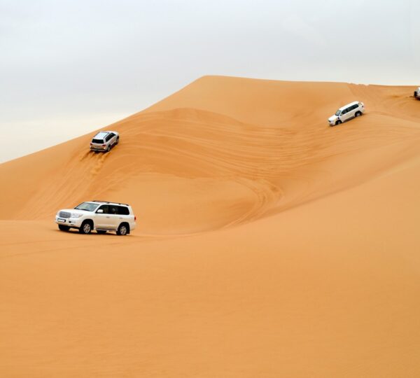 Пустынное сафари в Абу-Даби